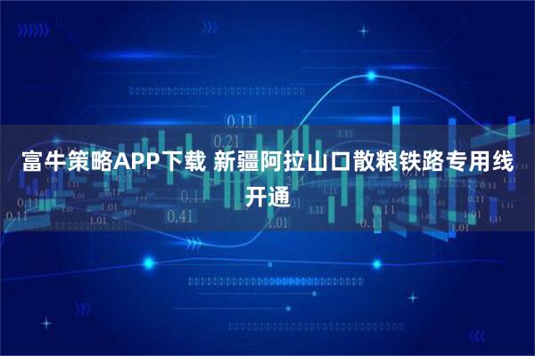 富牛策略APP下载 新疆阿拉山口散粮铁路专用线开通