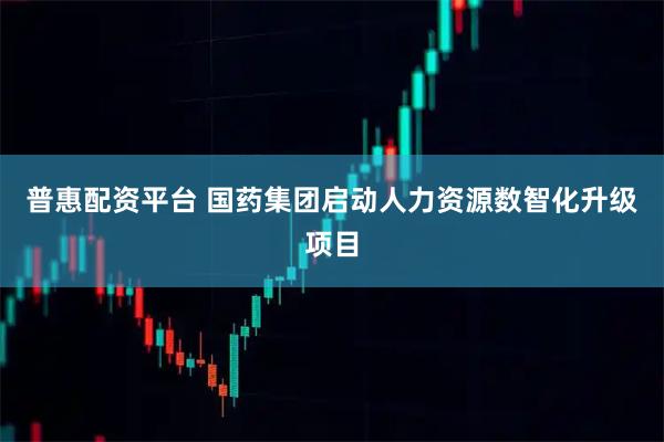 普惠配资平台 国药集团启动人力资源数智化升级项目