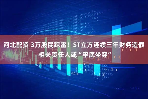 河北配资 3万股民踩雷！ST立方连续三年财务造假 相关责任人或“牢底坐穿”