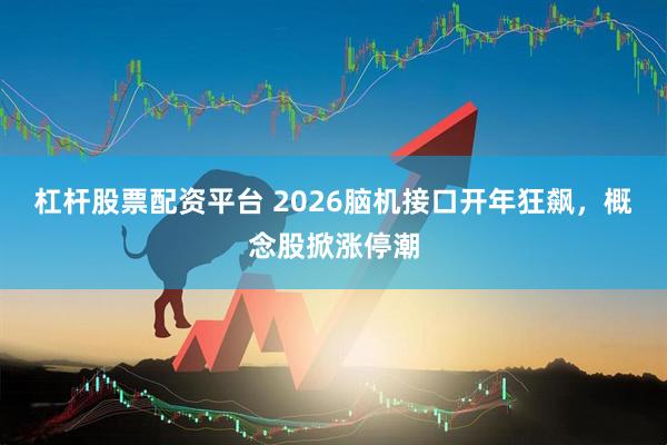 杠杆股票配资平台 2026脑机接口开年狂飙，概念股掀涨停潮